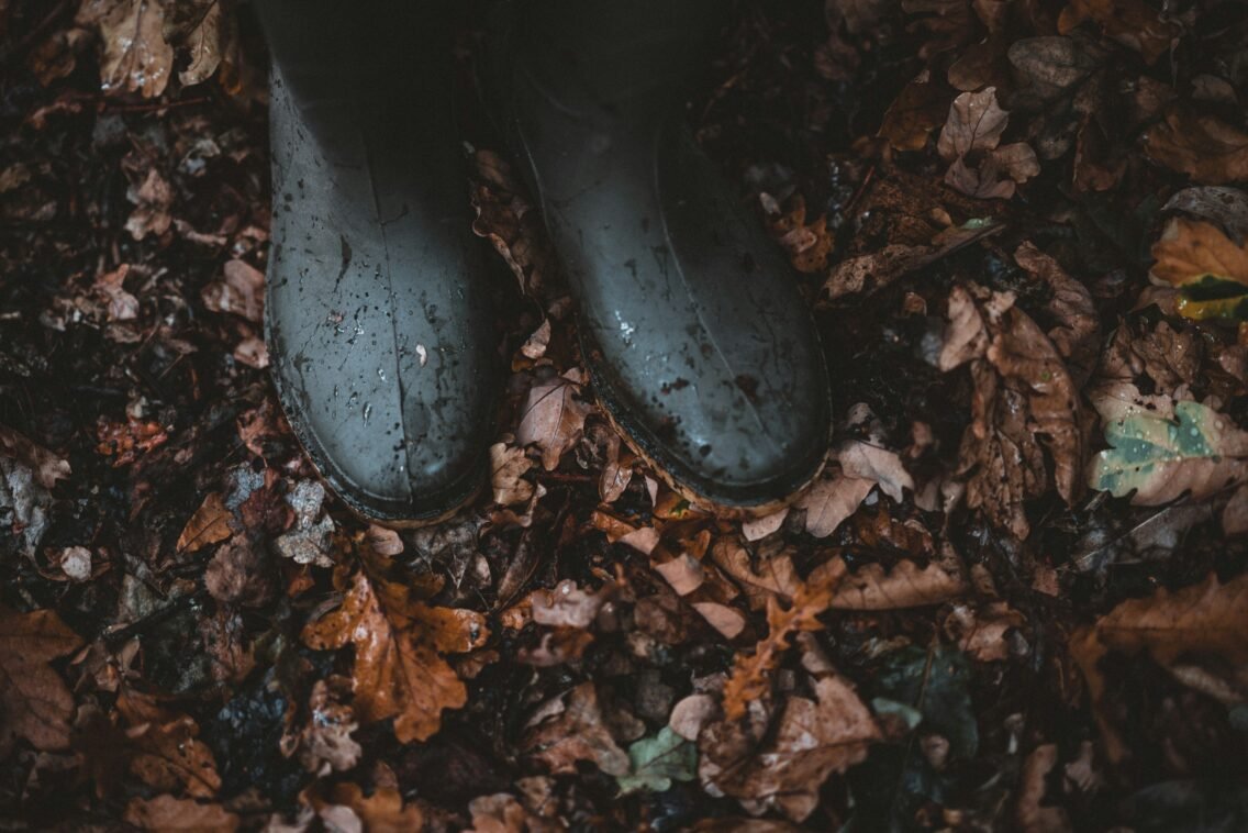 A Field Guide to the Hollow
