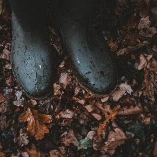 Love, war, and other poorly timed distractions