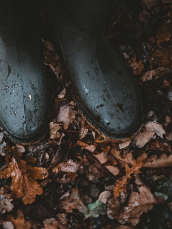 A Field Guide to the Hollow