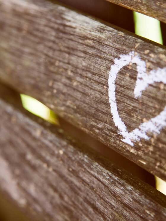 Love, war, and other poorly timed distractions